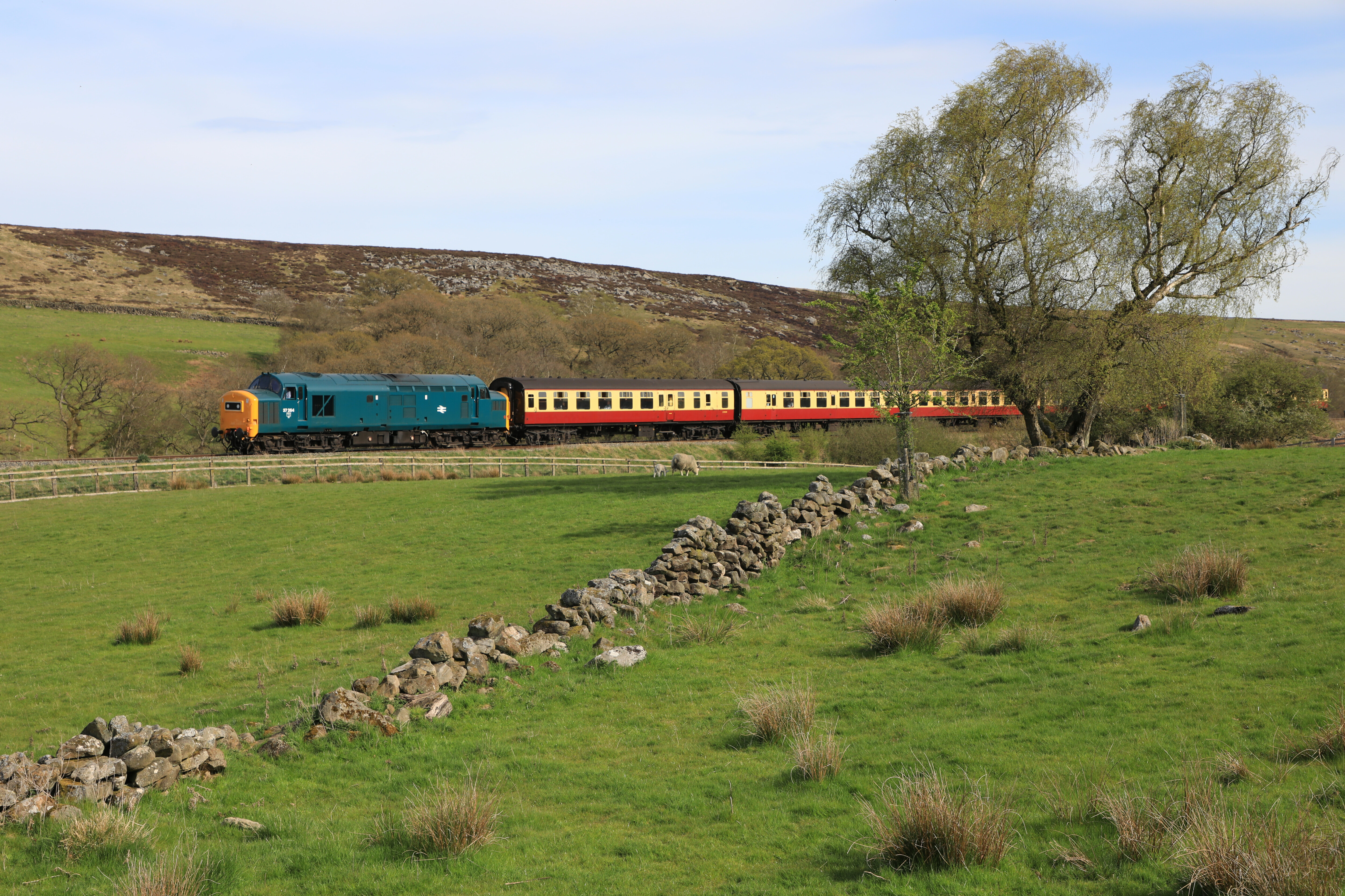 37264 along the line