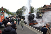 4079 & Crowds ASG 2026 Northedge