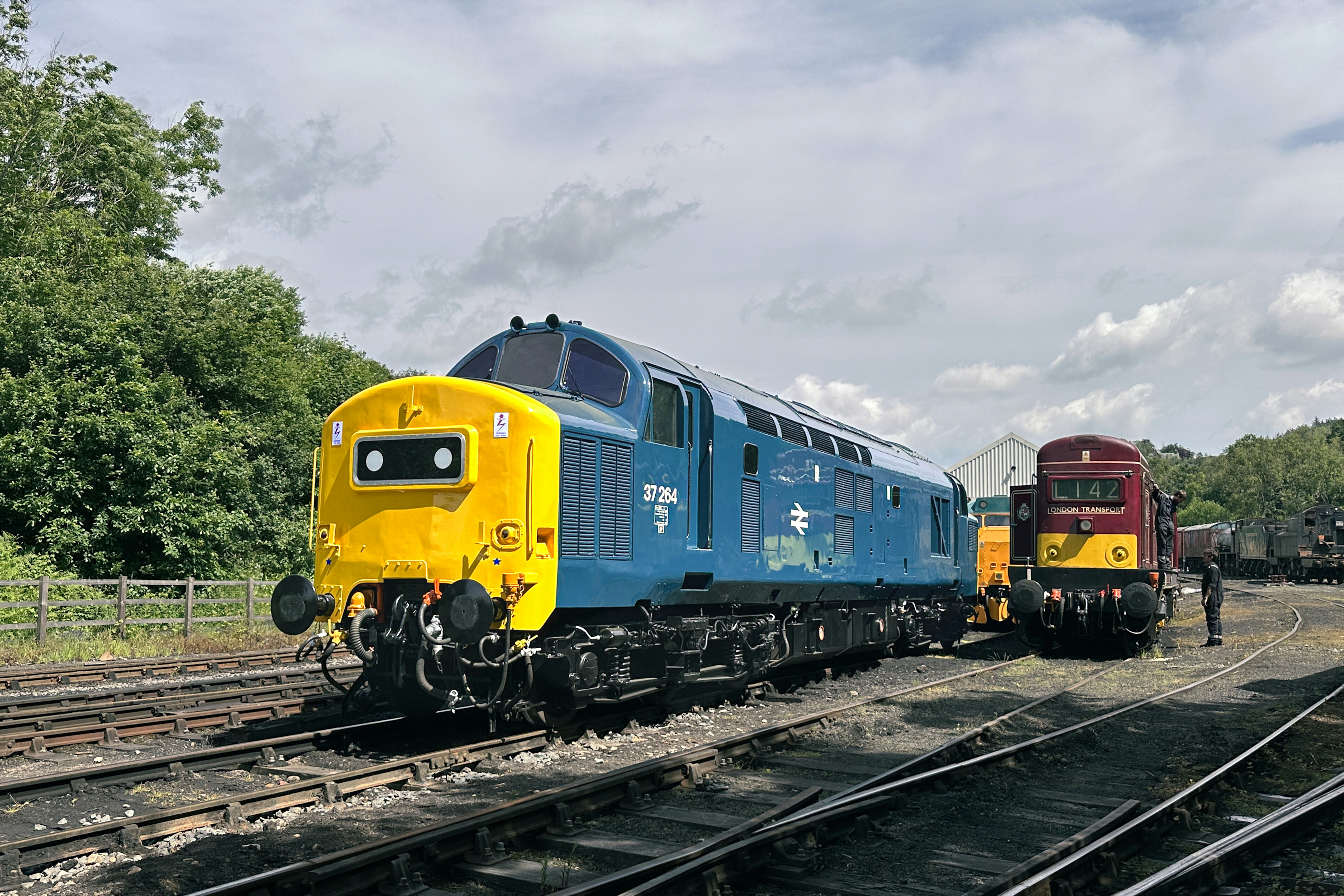 Class 37 No. 37264 