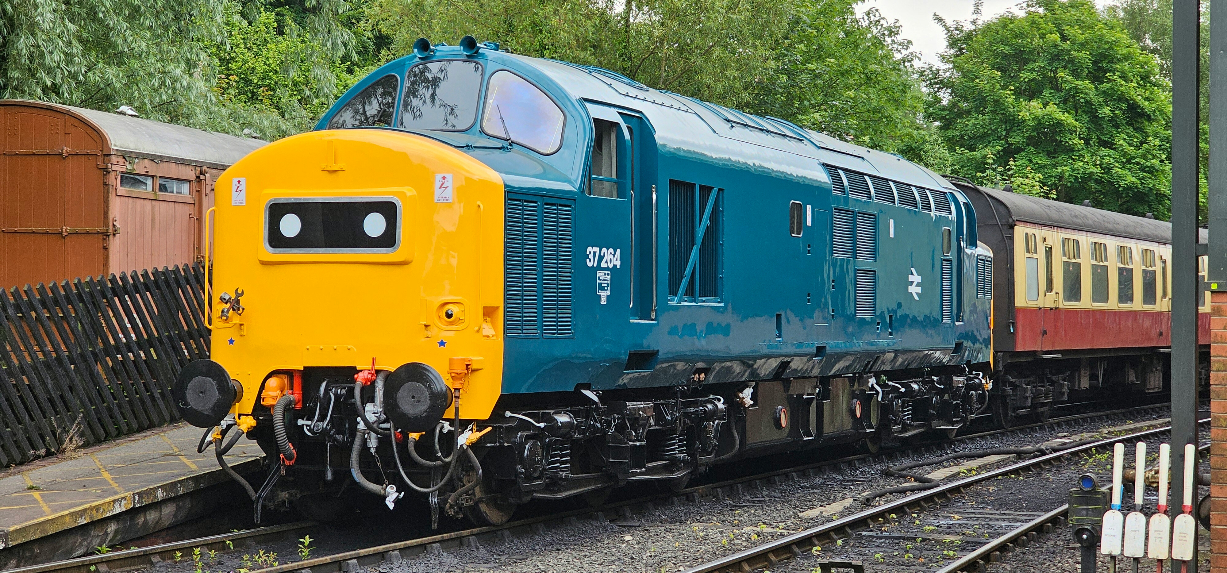 Diesel locomotive No. 37264 at Pickering station.