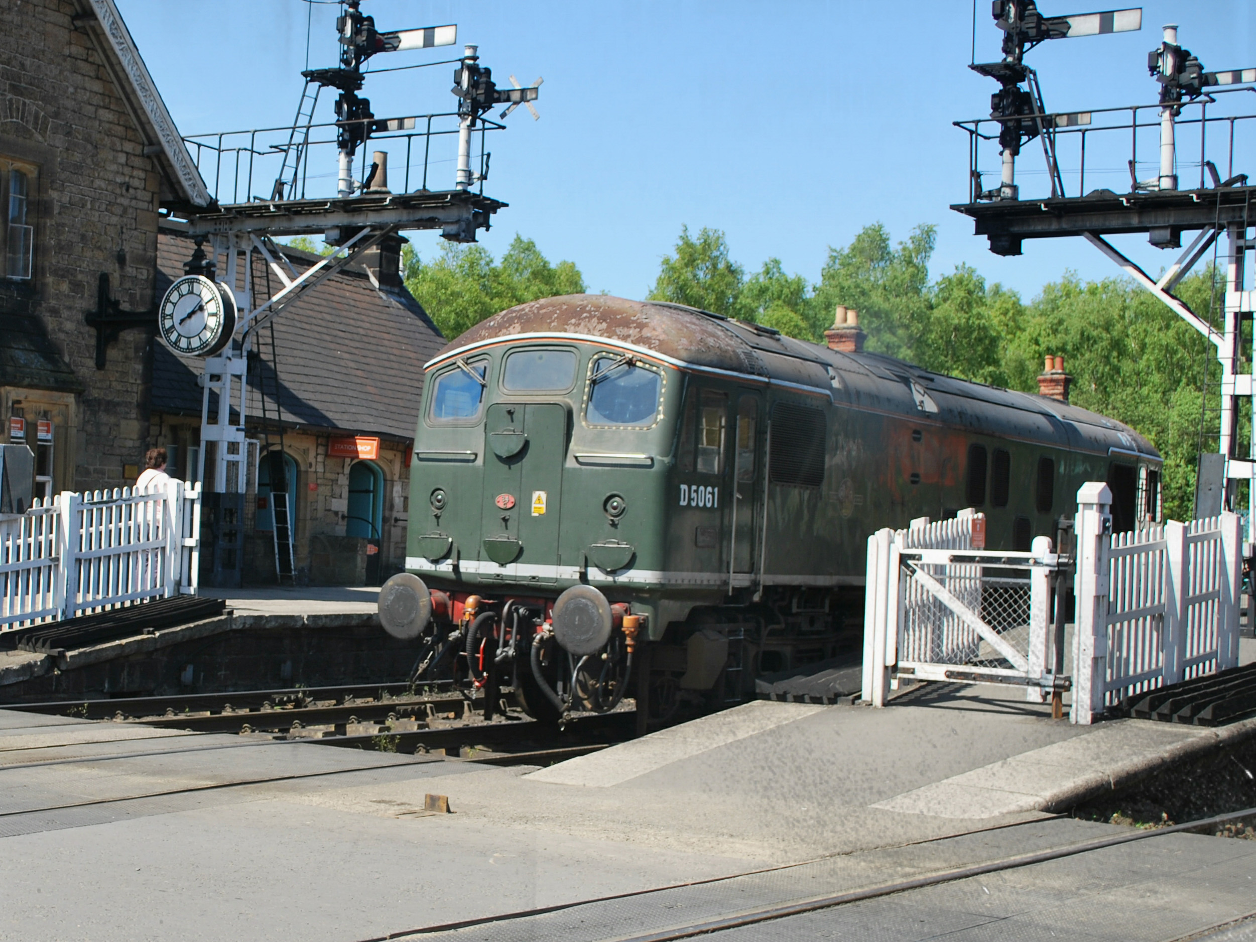 D5061