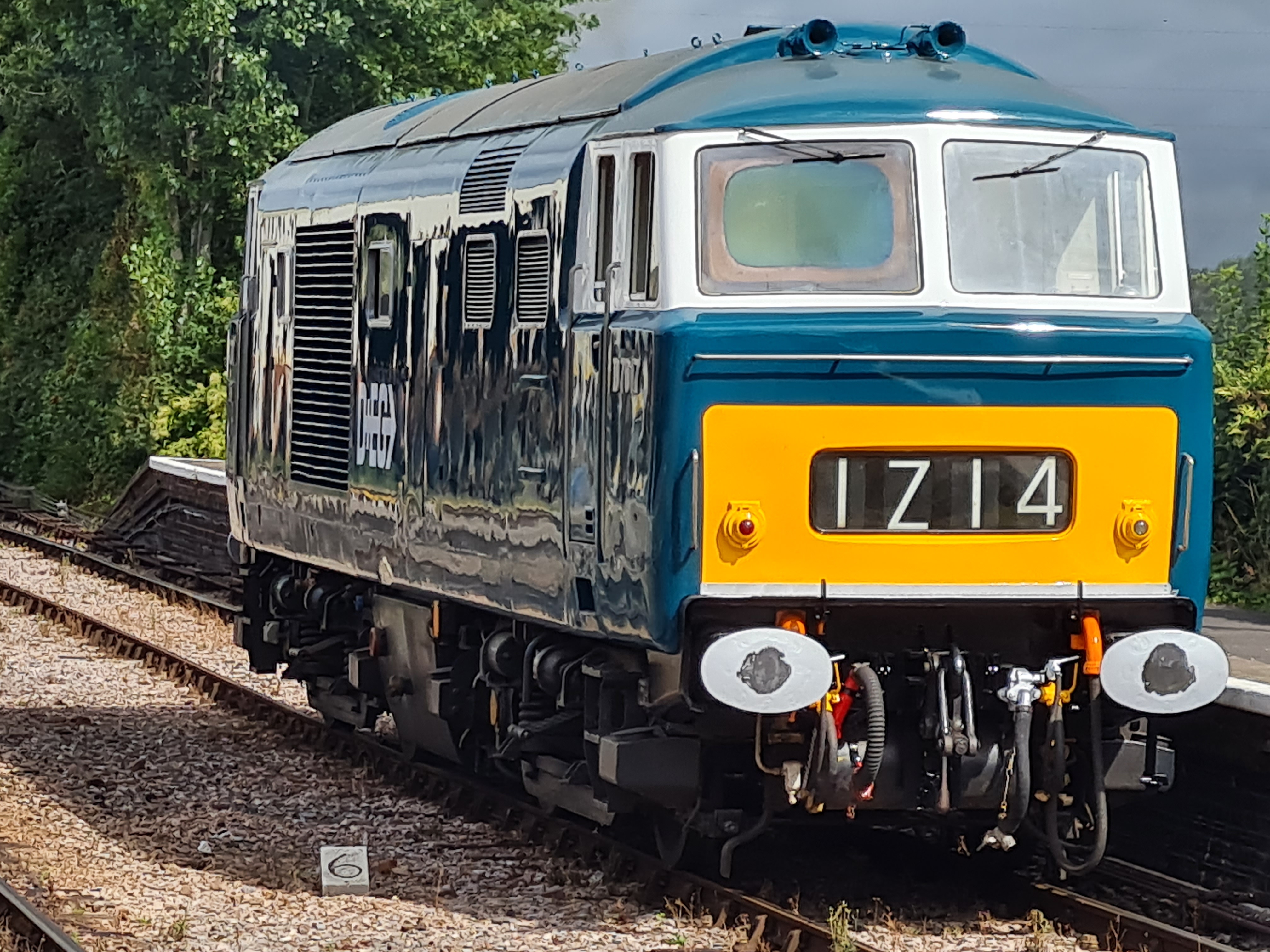 D7017 HYMEK in the sunshine.