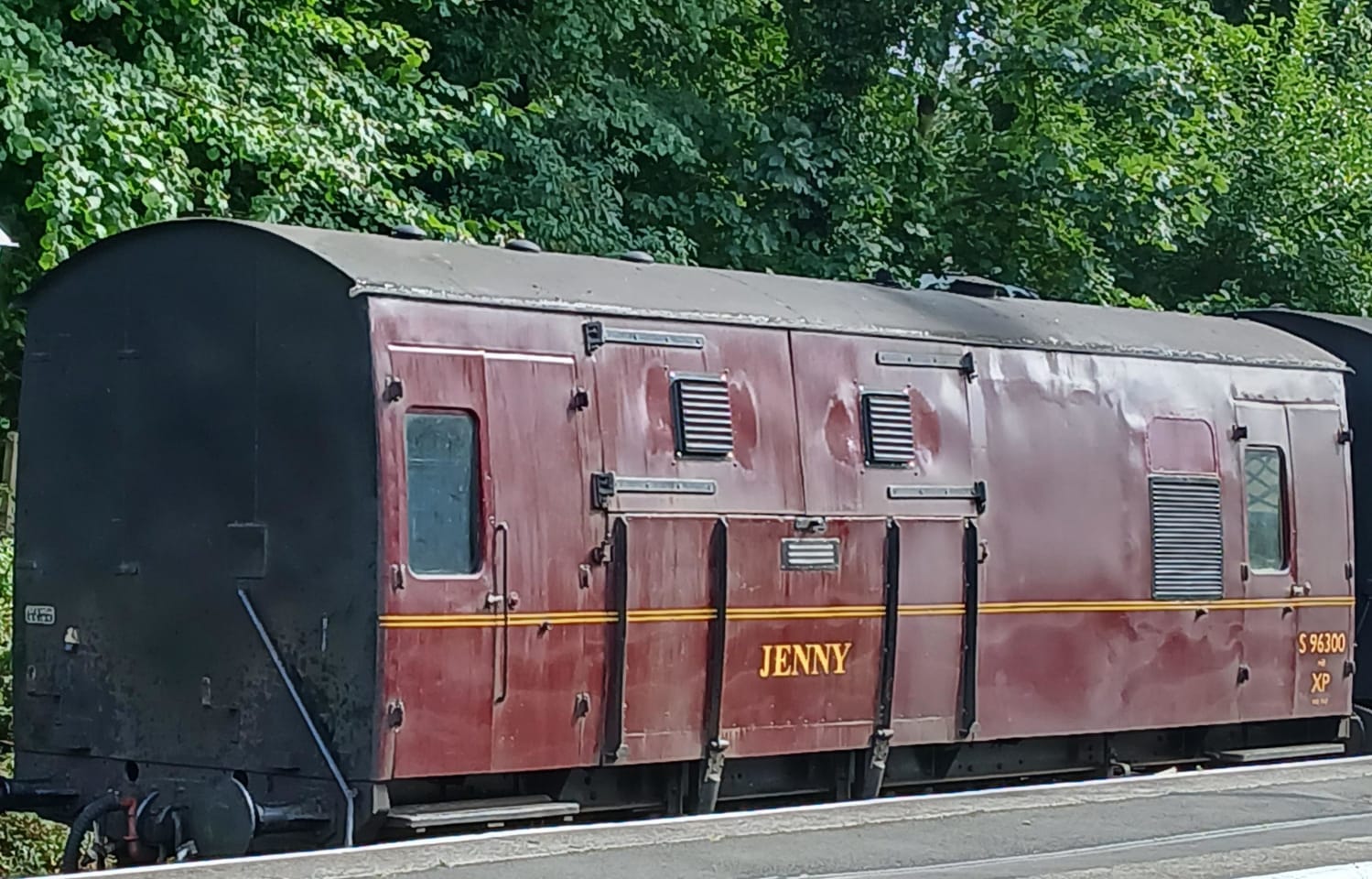 Jenny