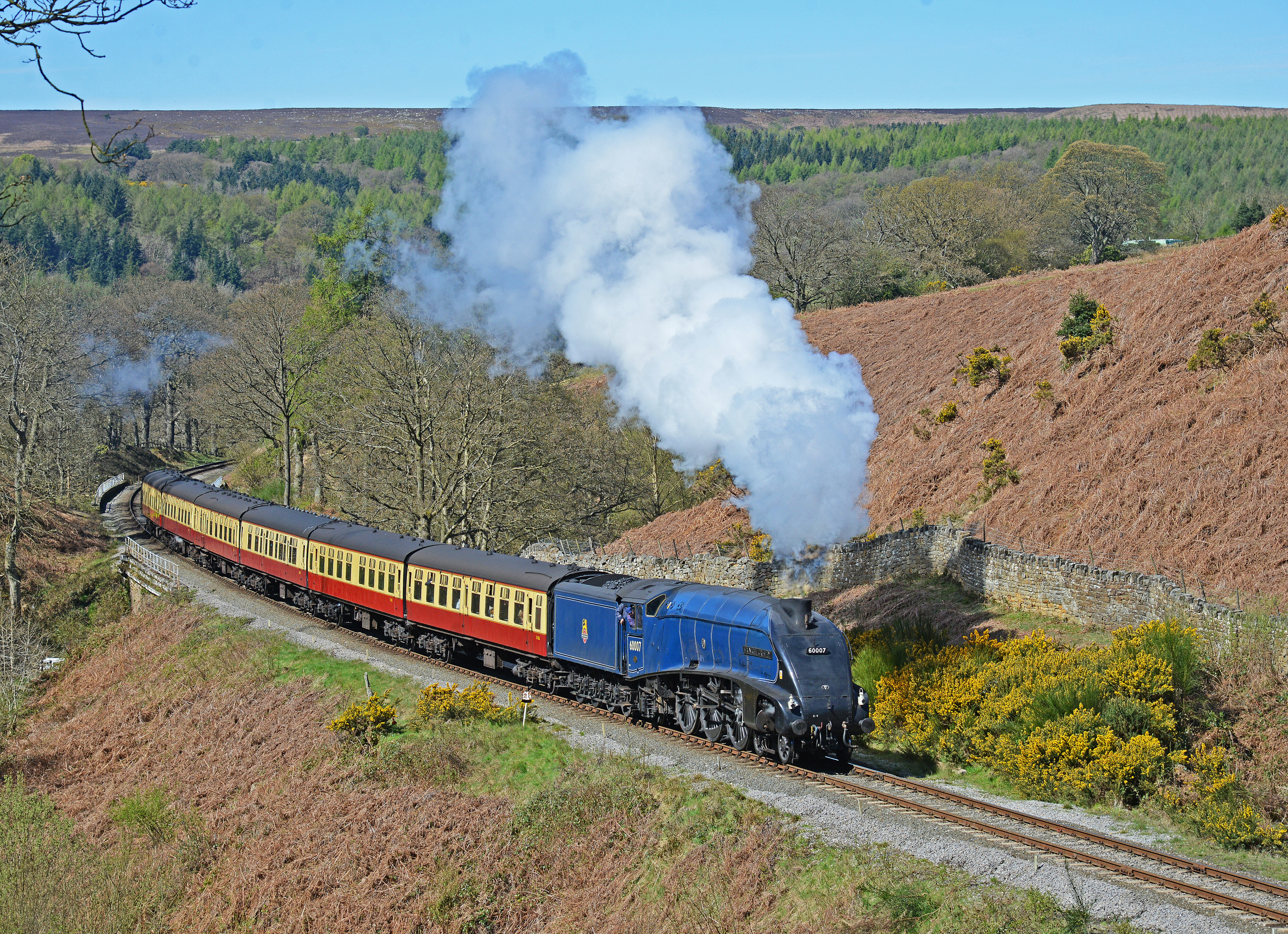 No. 60007 Sir Nigel Gresley with plum and custard carriages.