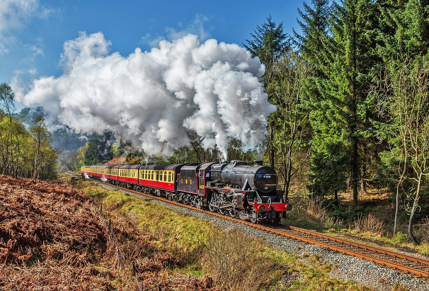 5428 along the line