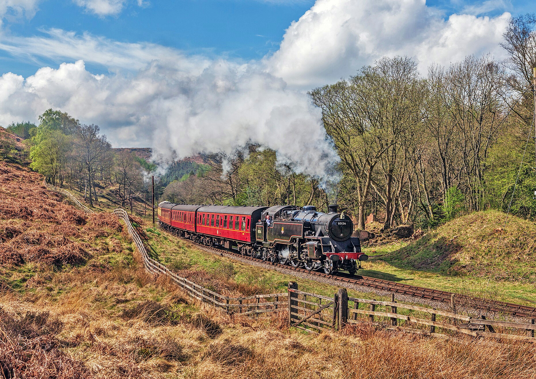 80136 at Newtondale