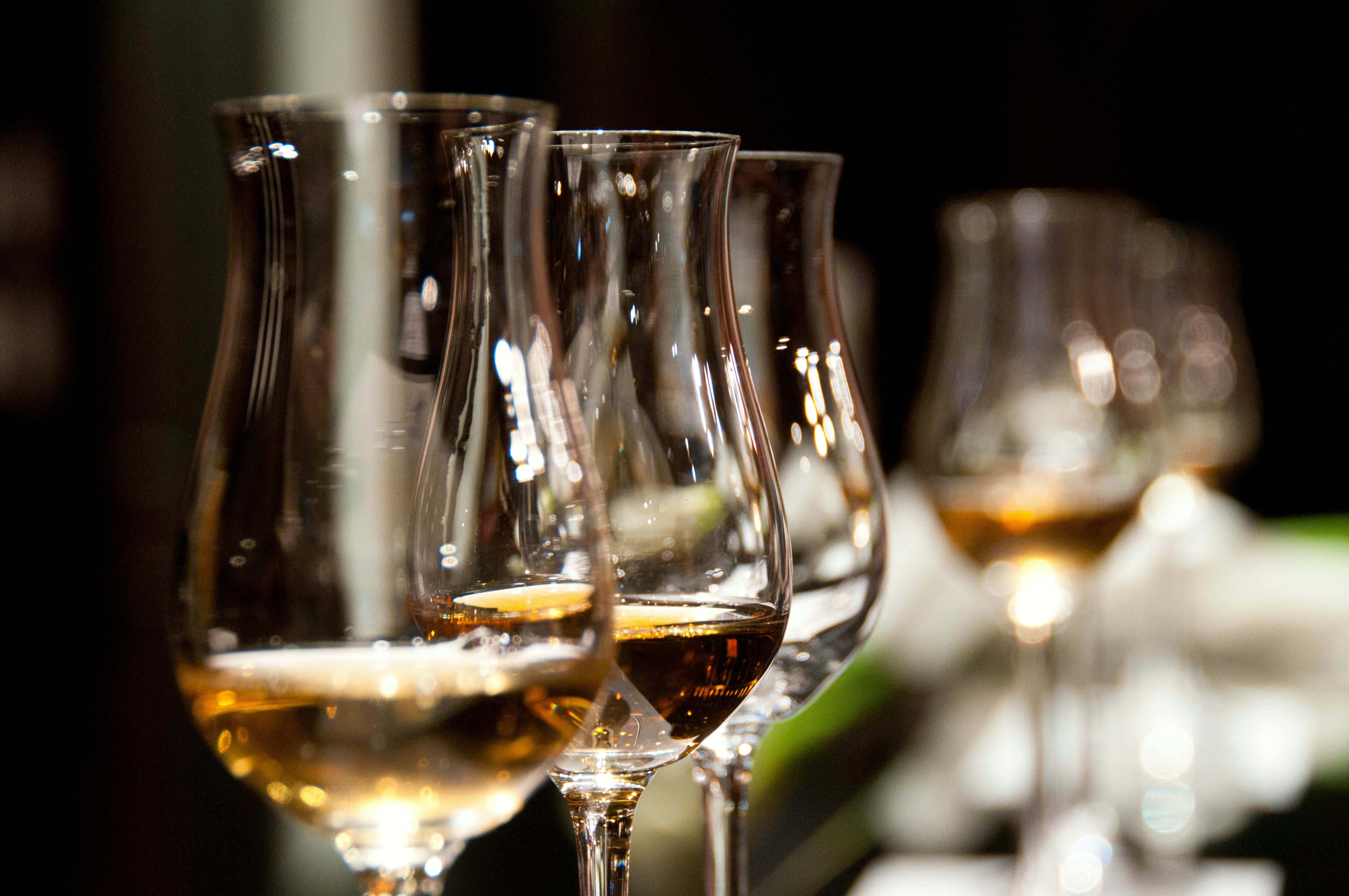 A selection of wine glasses.
