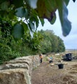 Dry Stone Walling 2