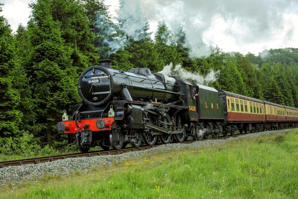 5428 with green grass