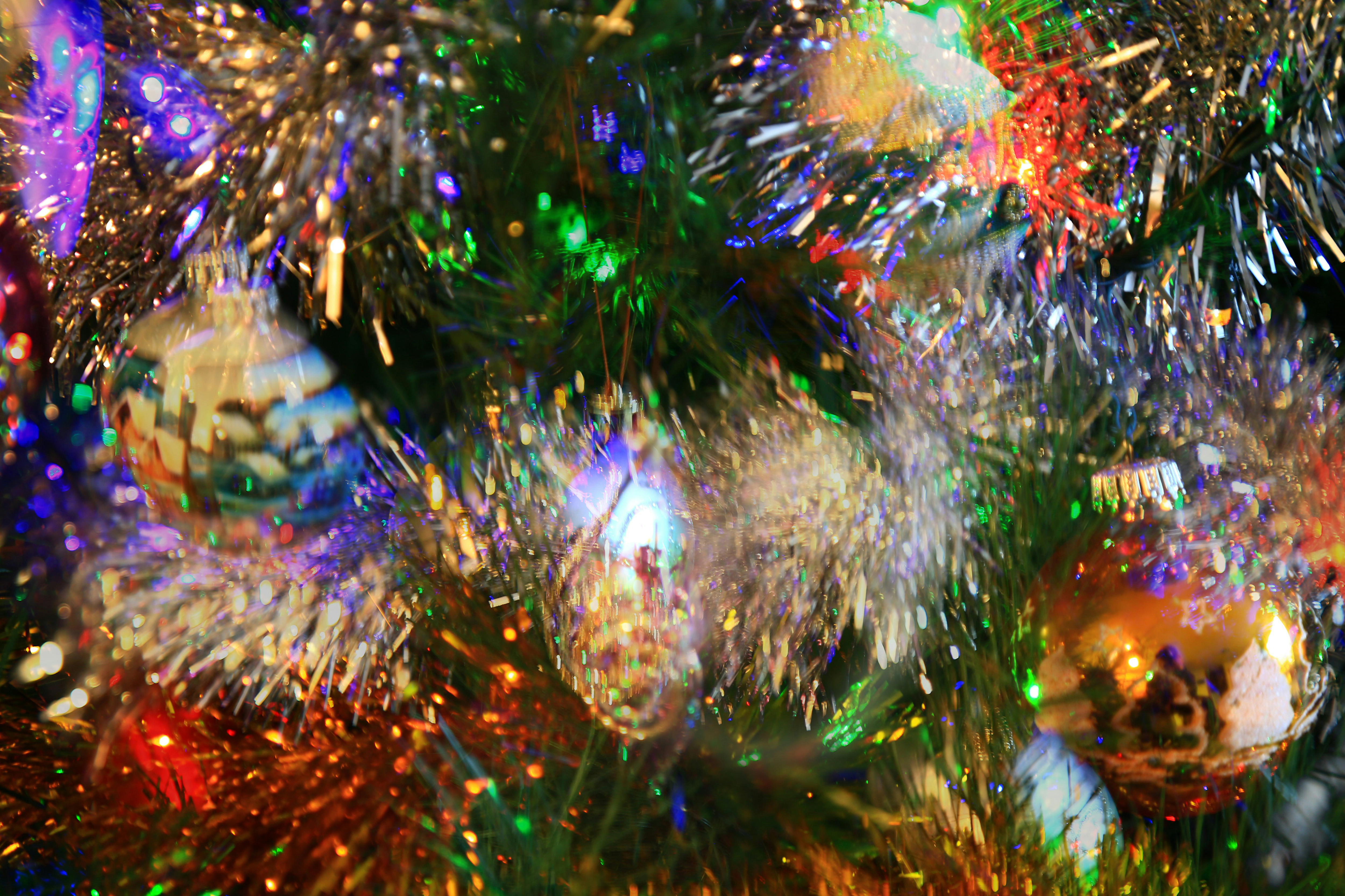 Nareeta Martin Jtq Nt5jqbc Unsplash