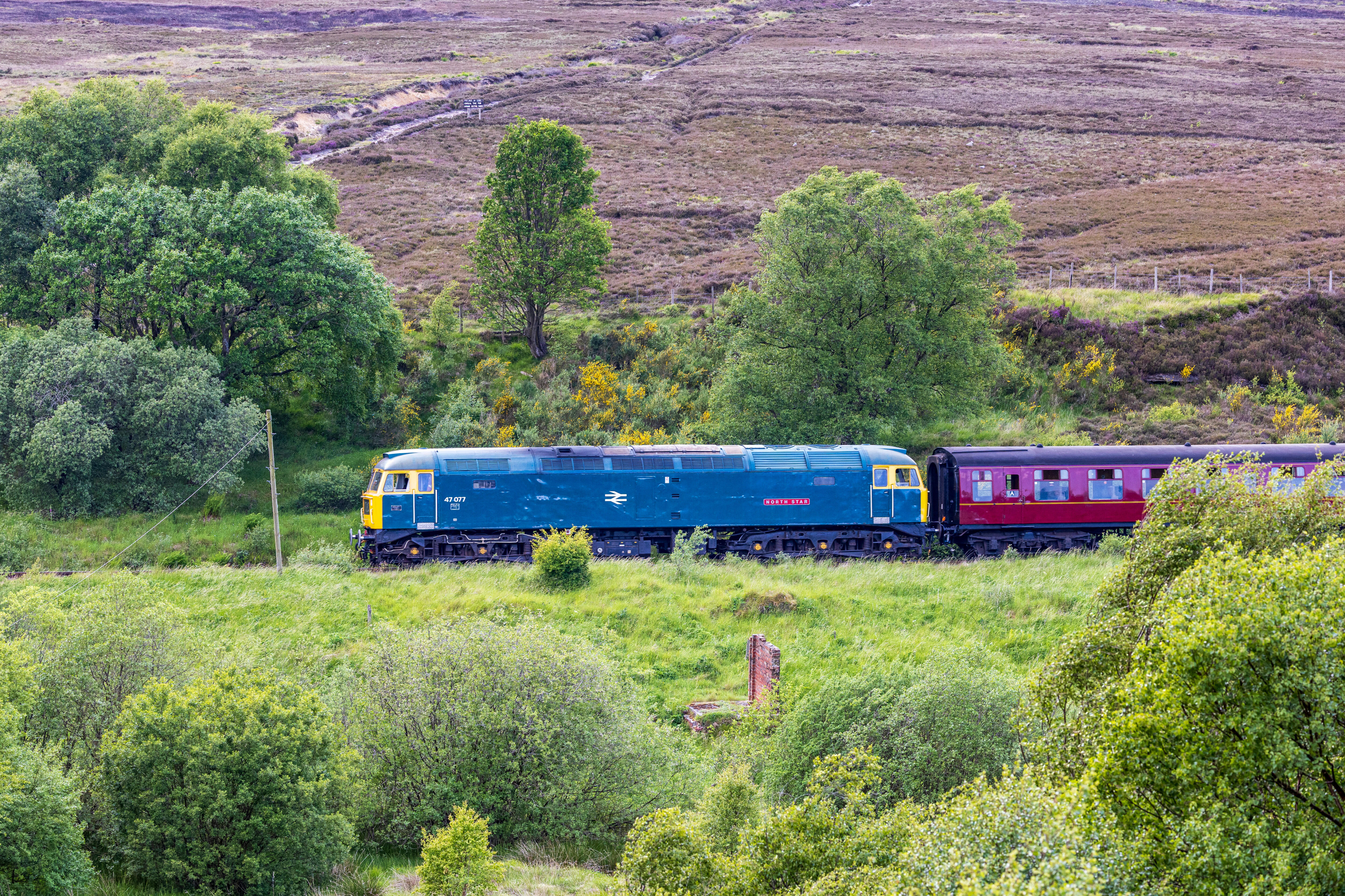 47077