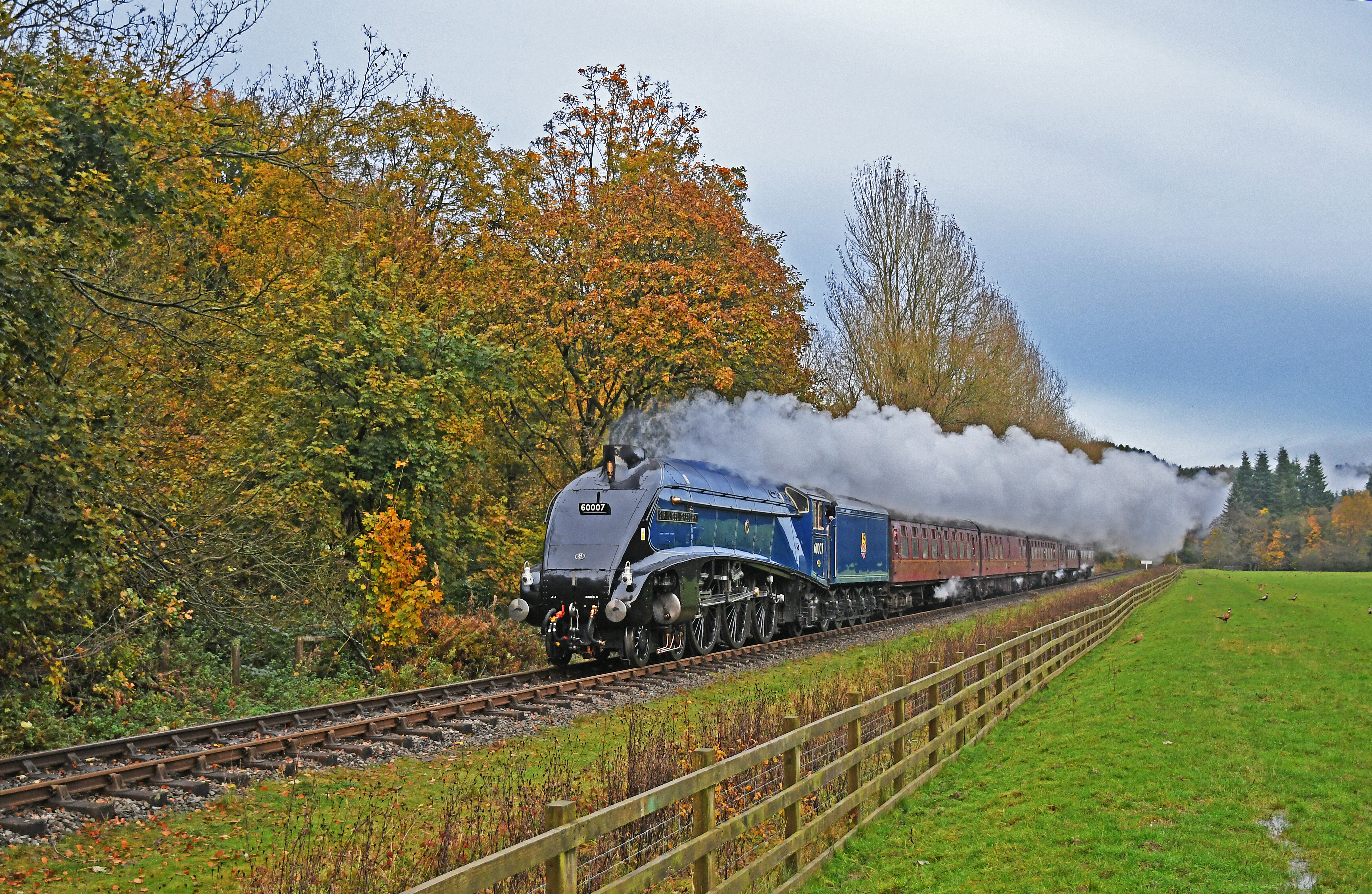 No. 60007 Sir Nigel Gresley approaches Hunting Bridge.