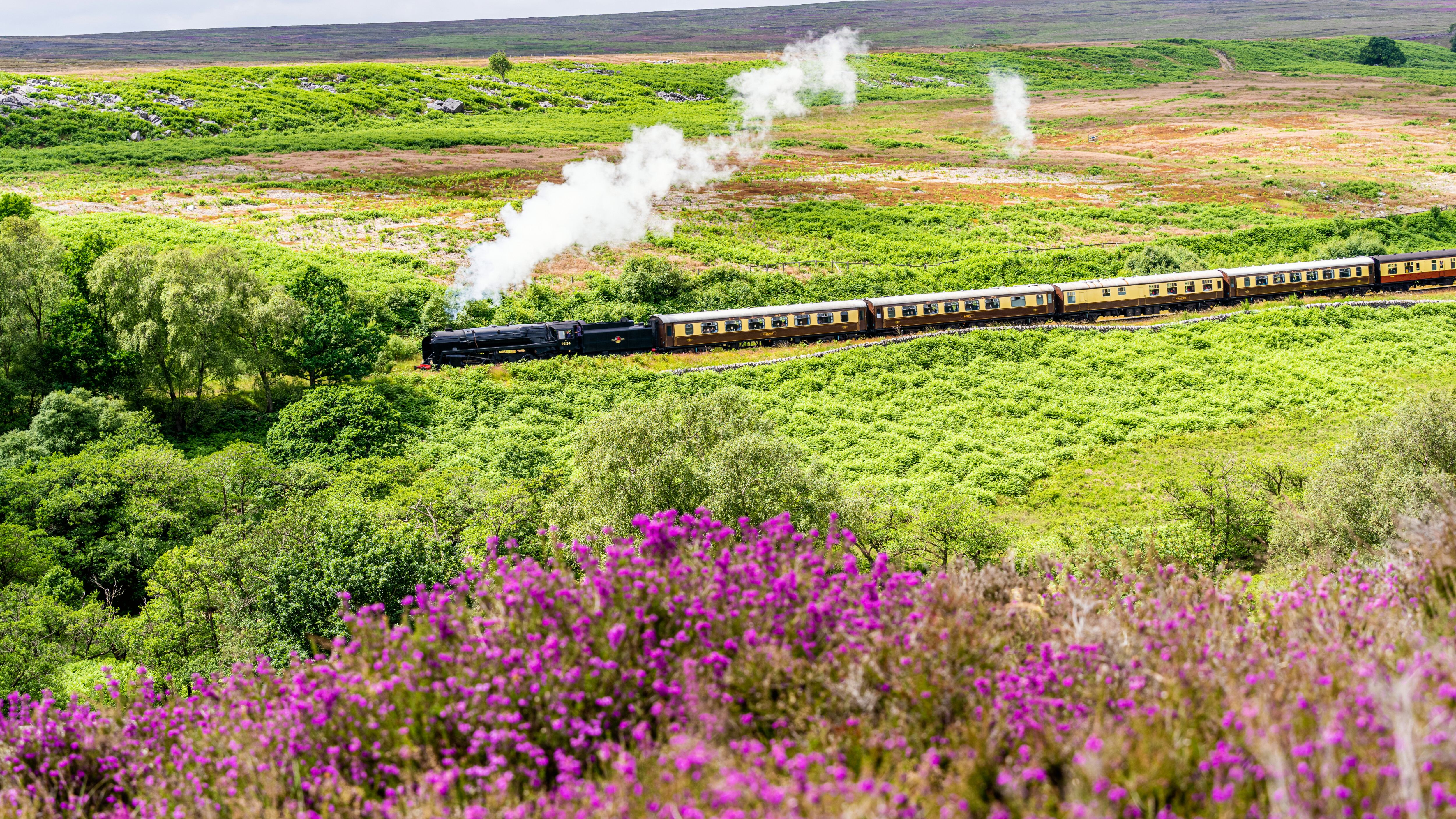 Bright purple heather is shown in bloom at the front of the image and the North Yorkshire Pullman, hauled by No. 92134 in the distance.