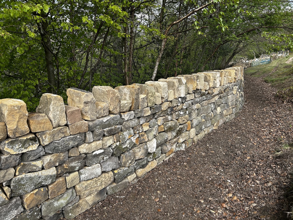 Dry Stone Walling 5