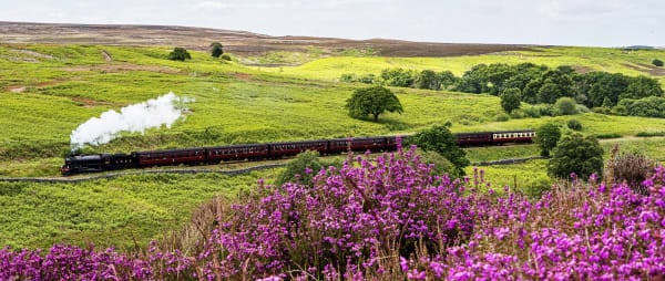 Just the ticket for families this summer - Children travel for just £1